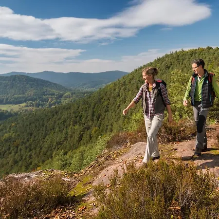 Waldhotel Felsentor Ξενοδοχείο Hauenstein
