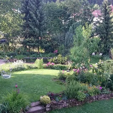 Waldhotel Felsentor Ξενοδοχείο 3*