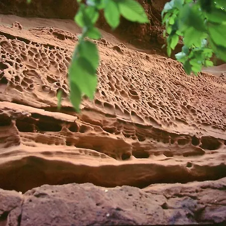 Ξενοδοχείο Waldhotel Felsentor