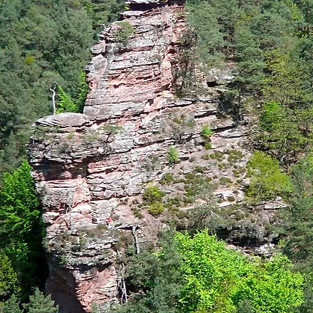 Waldhotel Felsentor 3* Hauenstein