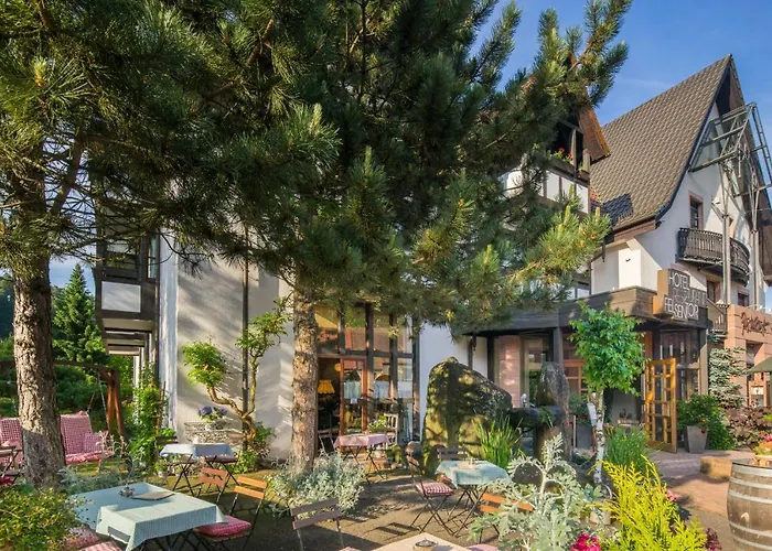 Hotel Waldhotel Felsentor 3*