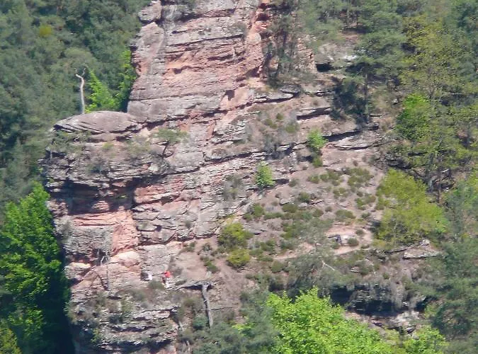 Waldhotel Felsentor Hotel Hauenstein