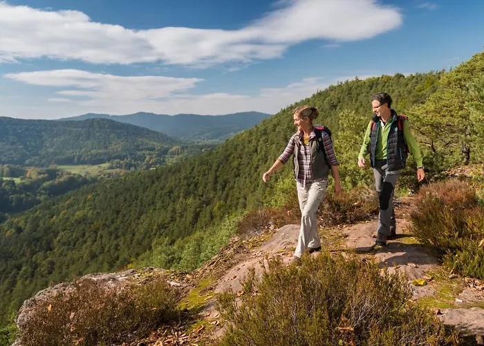 Waldhotel Felsentor Hotel Hauenstein