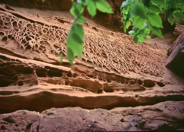 Hotel Waldhotel Felsentor